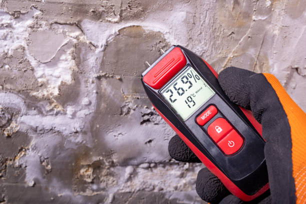 Attic Mold Removal in Harper, KS